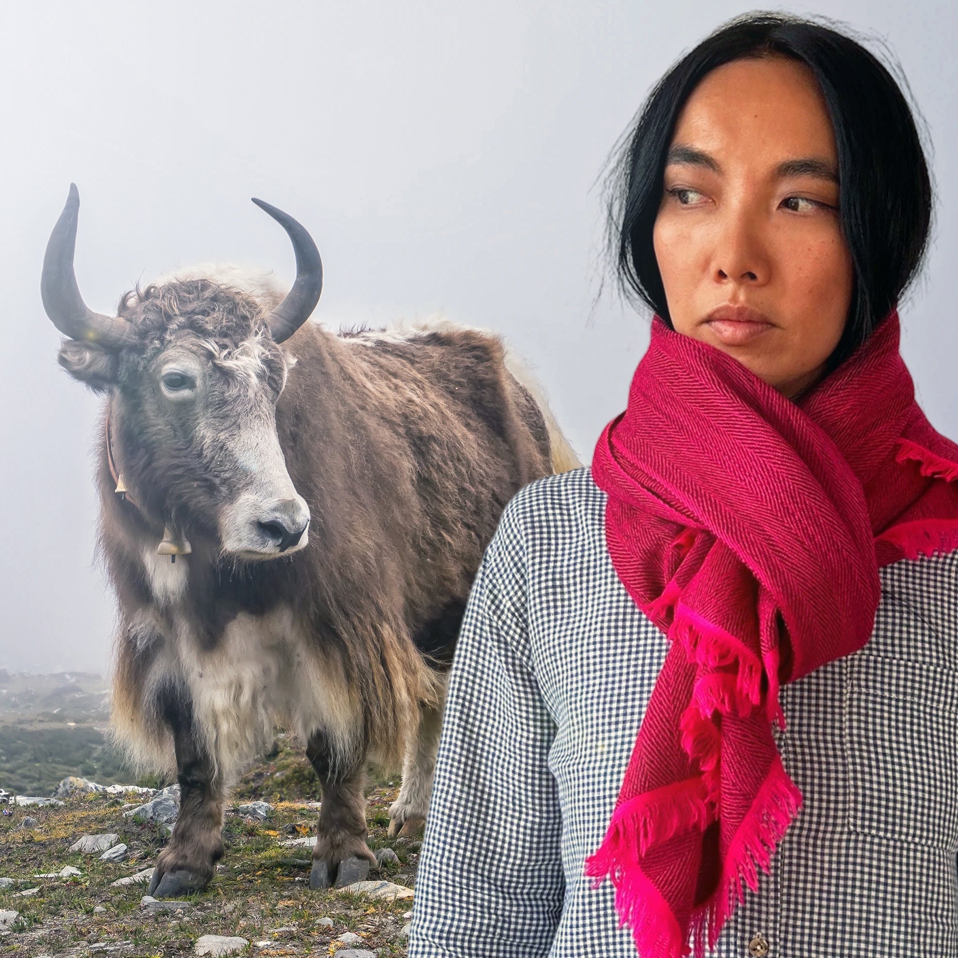 Yak Schals - Atelier Tibet