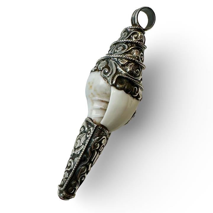 Shell pendant with silver and coral