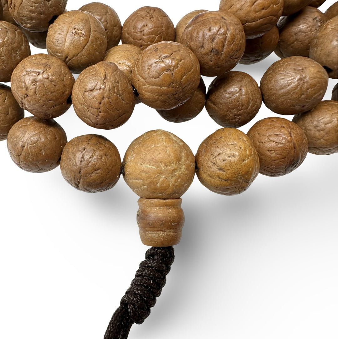 Bodhi - Samen Mala Gebetskette (⌀ 14 mm) - Atelier Tibet