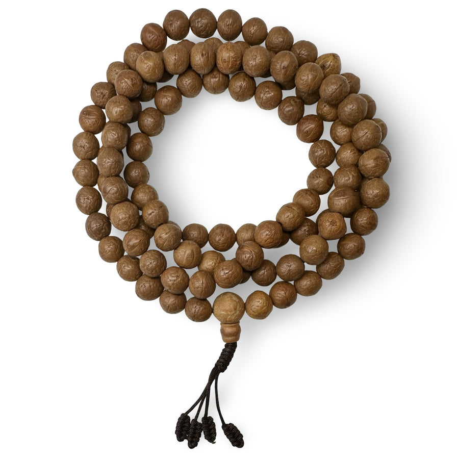 Bodhi - Samen Mala Gebetskette (⌀ 14 mm) - Atelier Tibet
