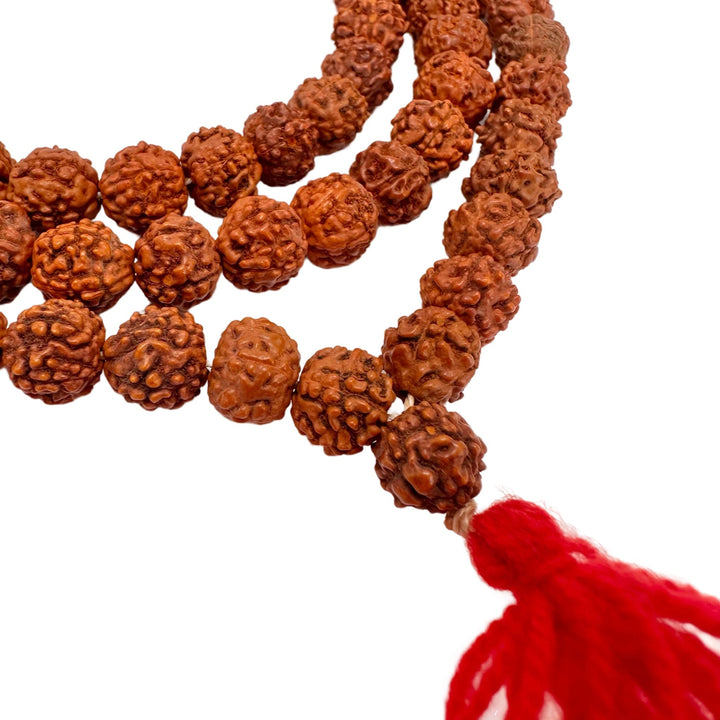 Einfache Rudraksha Mala (⌀ 9 mm) - Atelier Tibet