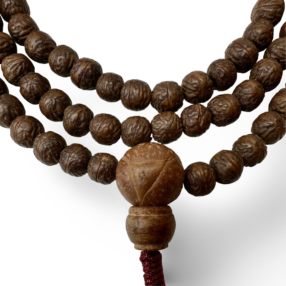 Raktu Mala Gebetskette (⌀ 8 mm) - Atelier Tibet
