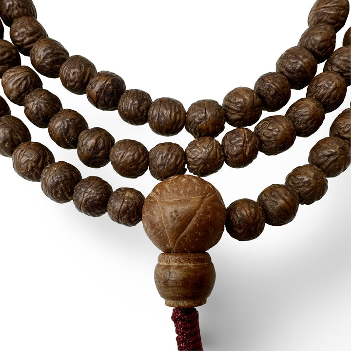 Raktu Mala Gebetskette (⌀ 8 mm) - Atelier Tibet