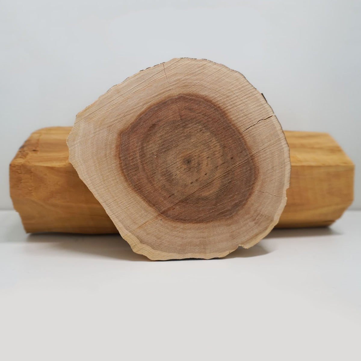 Santalum-Baum, aus dessen Holz Sandelholz-Malas gefertigt werden