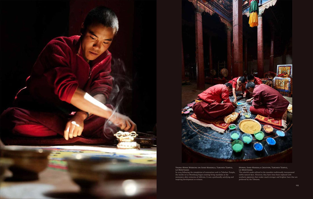 Fieni L: Tibetan Mustang - Atelier Tibet