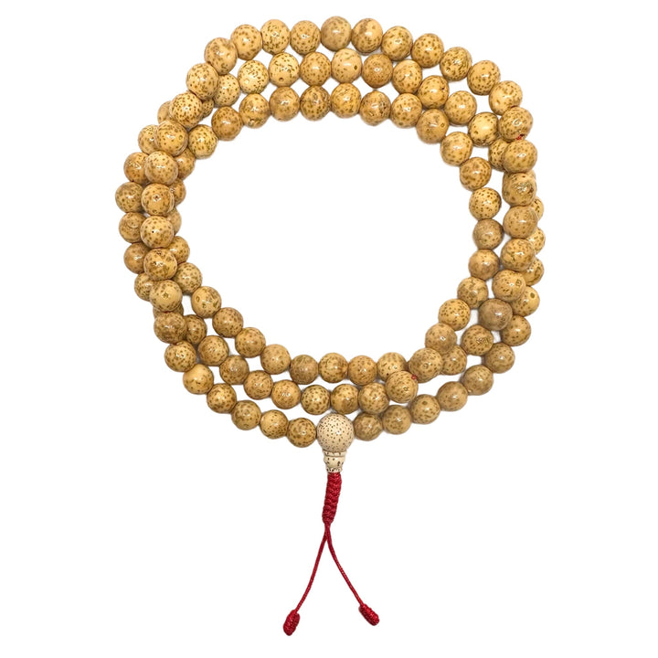 Lotus-Samen-Mala (8 mm) - Atelier Tibet