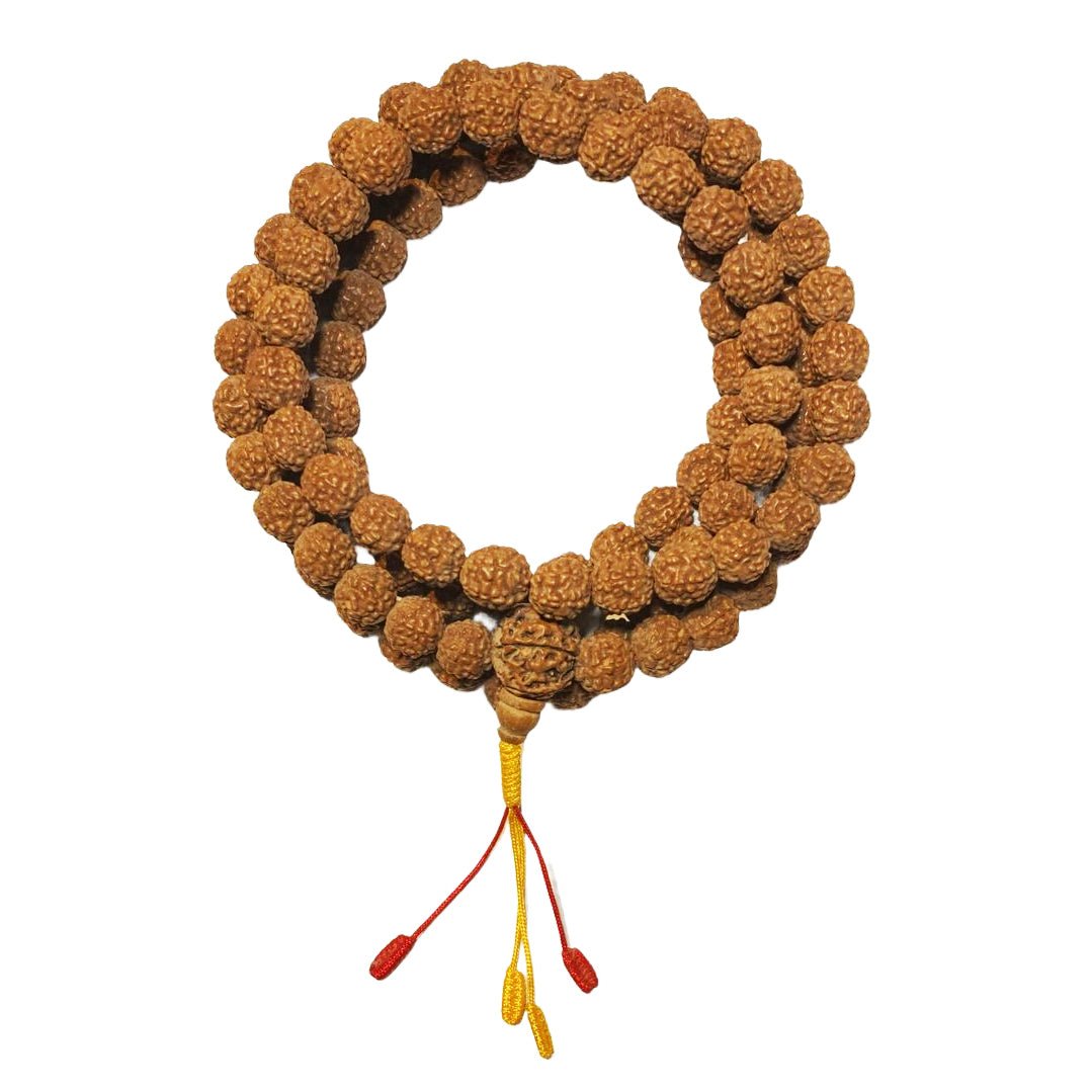 Rudraksha Mala «5 Face» - Atelier Tibet