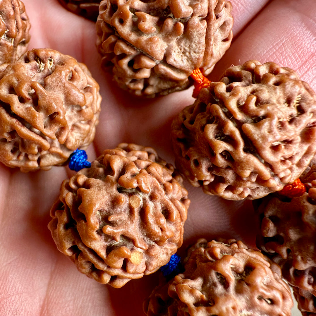 Rudraksha Handmassage