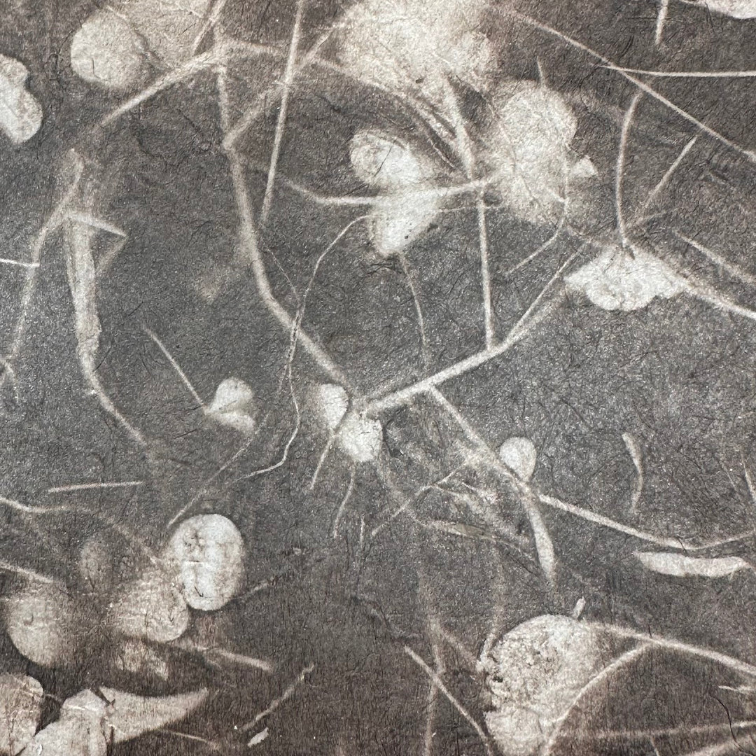 Quaderni fatti a mano in carta Lokta