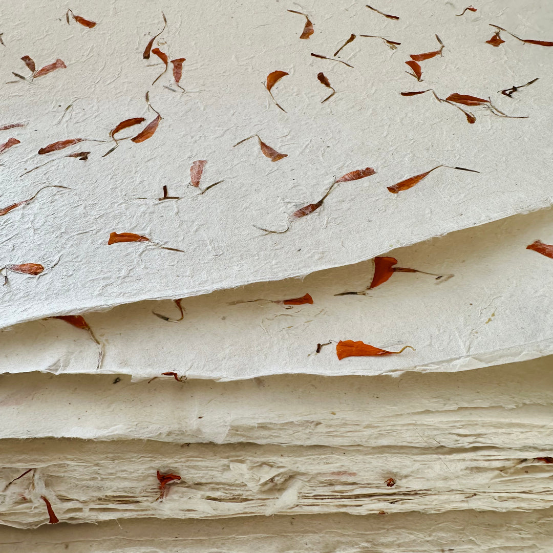 Handgeschöpftes Lokta-Papier mit echten Ringelblumen