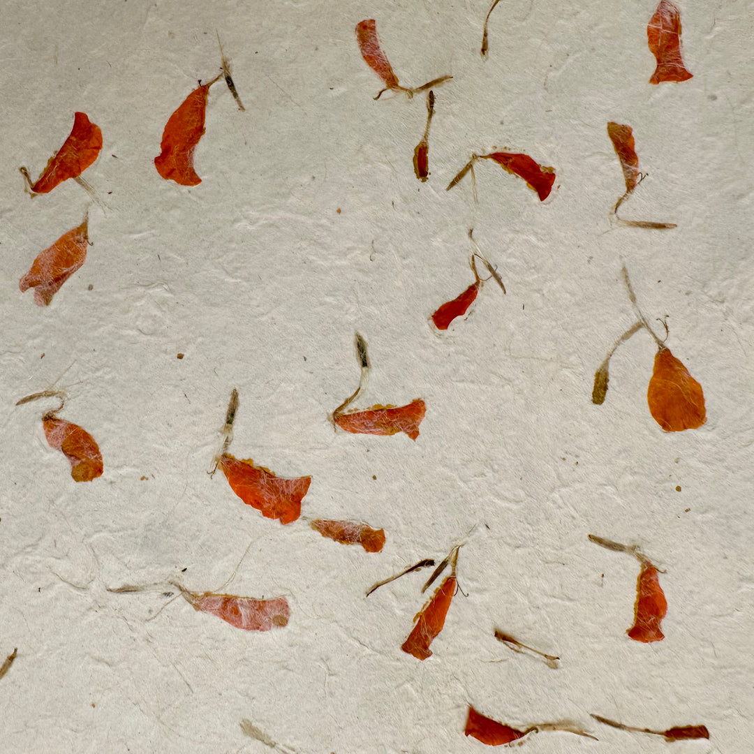 Handgeschöpftes Lokta-Papier mit echten Ringelblumen