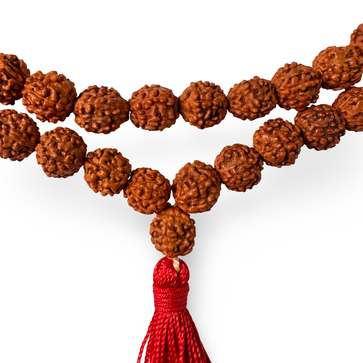 Rudraksha Mala simple (⌀ 9 mm)