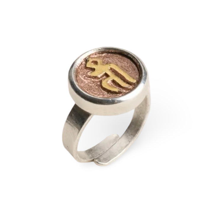 Ring mit Keimsilbe Tam, feuervergoldet · CHARU × Khyenle