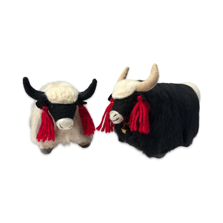 Unbeladene Yaks in Weiss und Schwarz