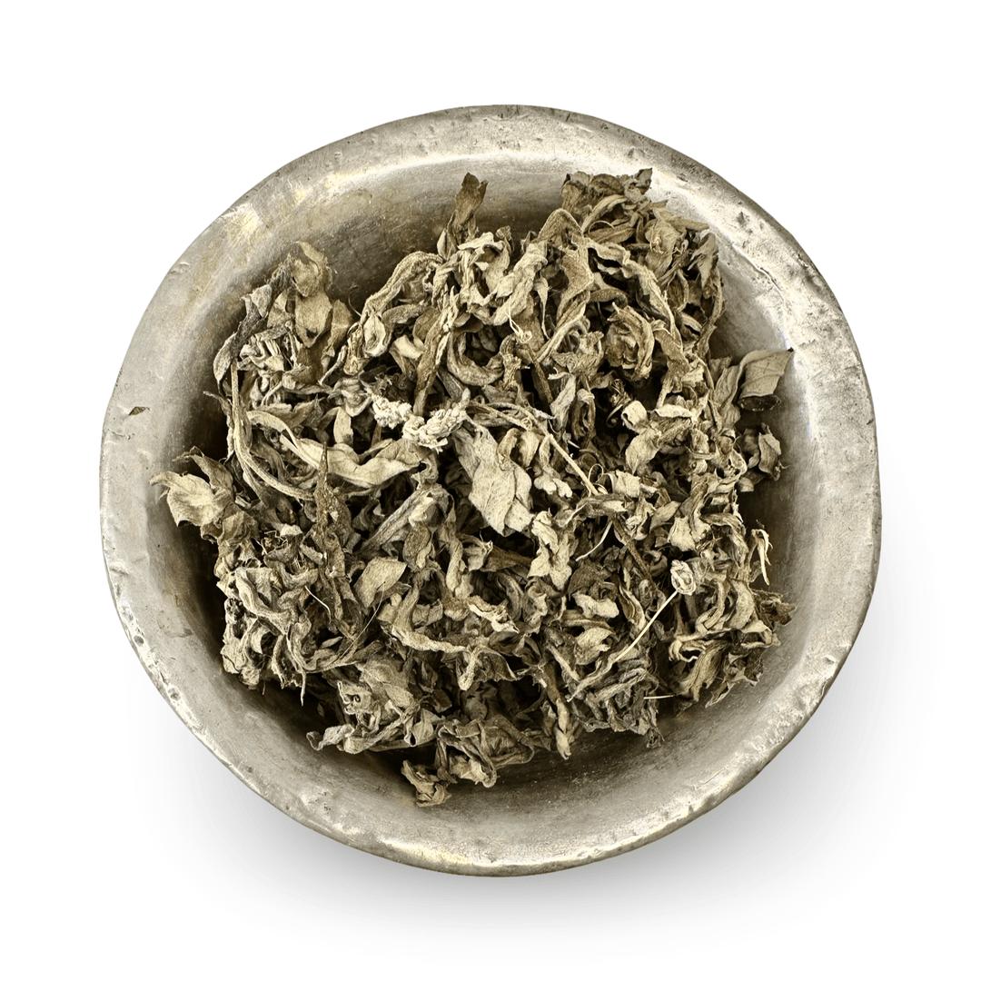 Artemisia vulgaris – Getrockneter Beifuss (Titepati टिटेपाती) aus Nepal - Atelier Tibet