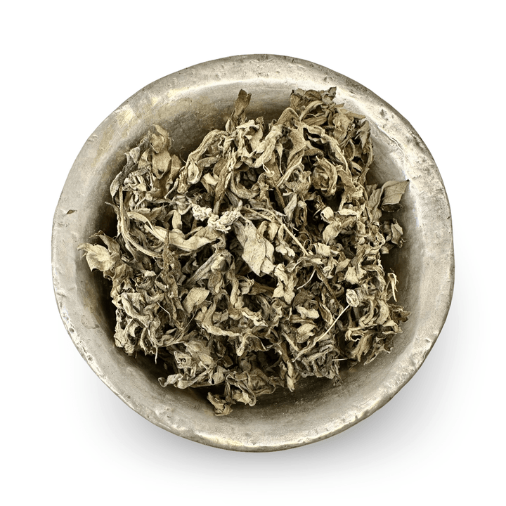 Artemisia vulgaris – Getrockneter Beifuss (Titepati टिटेपाती) aus Nepal - Atelier Tibet