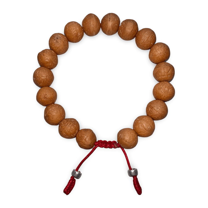 Bodhi Samen Mala - Armband - Atelier Tibet