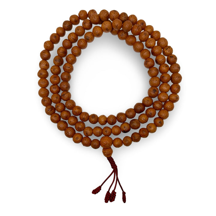 Bodhi - Samen Mala Gebetskette (⌀ 14 mm) - Atelier Tibet