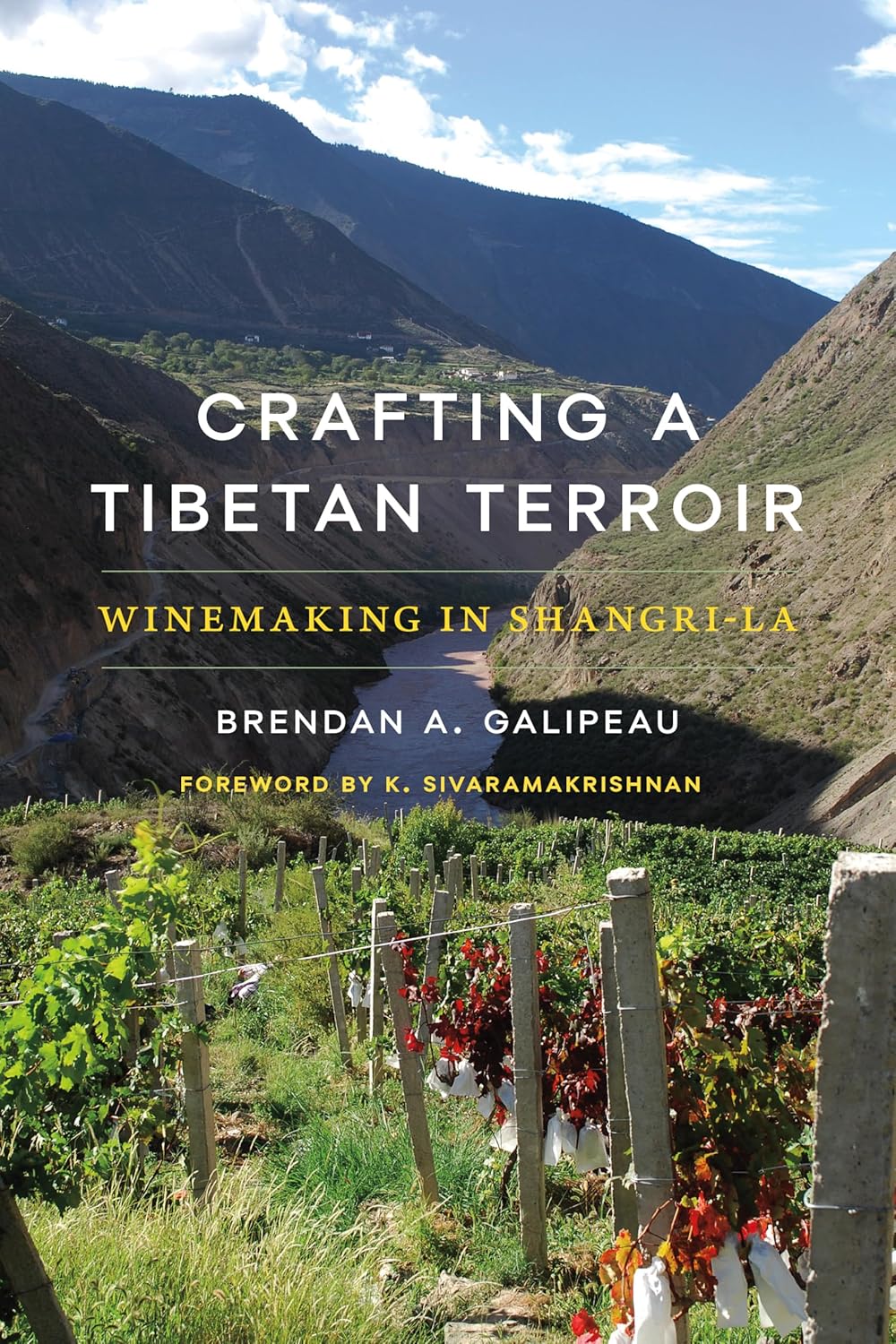 Galipeau Brendan A.: Crafting a Tibetan Terroir - Atelier Tibet