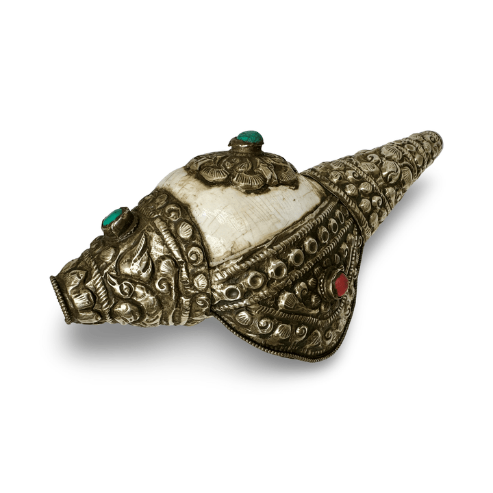 Kleines, älteres tibetische Muschelhorn «Dung Kar» - Atelier Tibet
