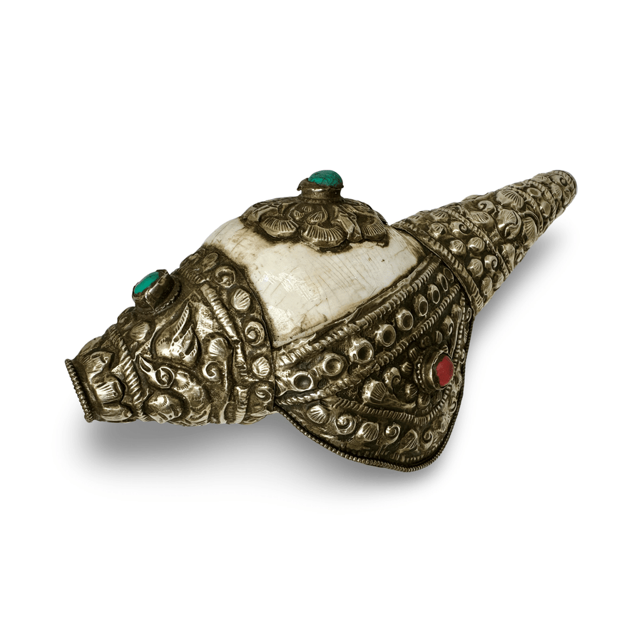 Kleines, älteres tibetische Muschelhorn «Dung Kar» - Atelier Tibet