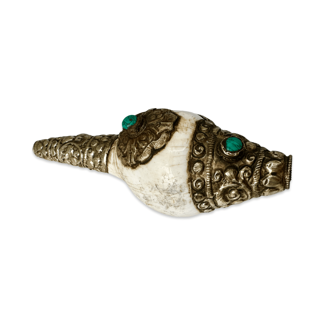 Kleines, älteres tibetische Muschelhorn «Dung Kar» - Atelier Tibet