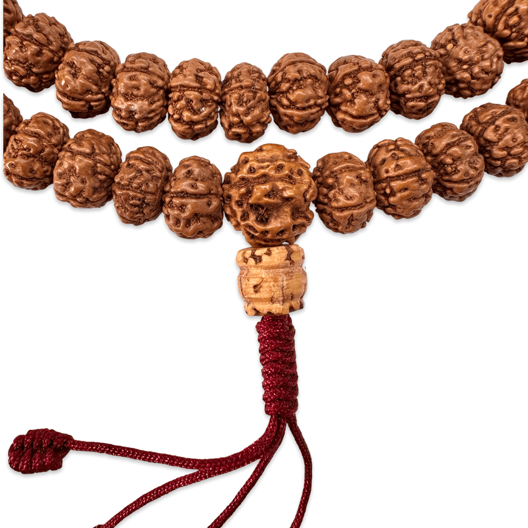 Rudraksha Mala «6 Mukhi» (⌀ 8 mm) - Atelier Tibet