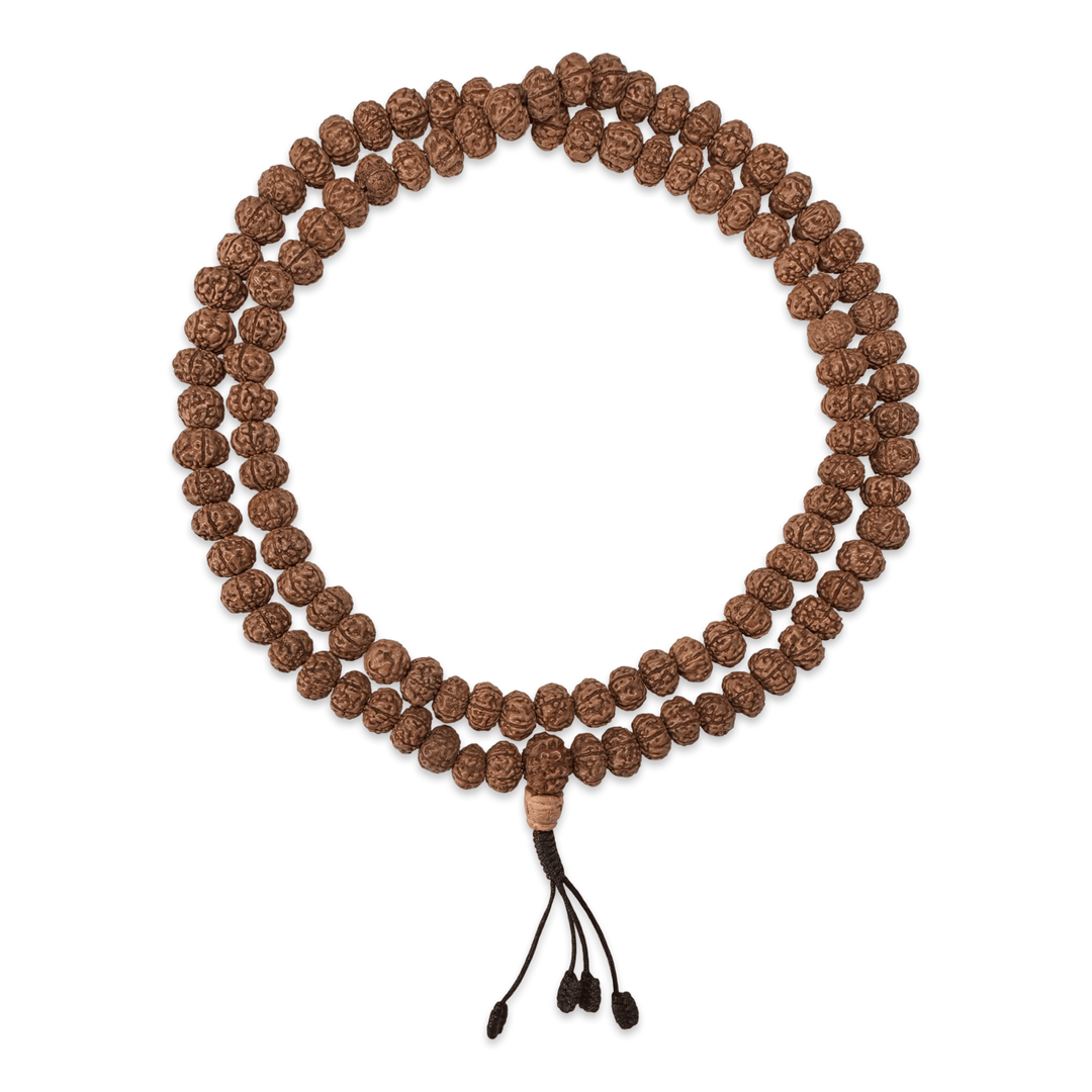 Rudraksha Mala «6 Mukhi» (⌀ 8 mm) - Atelier Tibet