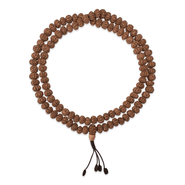 Rudraksha Mala «6 Mukhi» (⌀ 8 mm) - Atelier Tibet