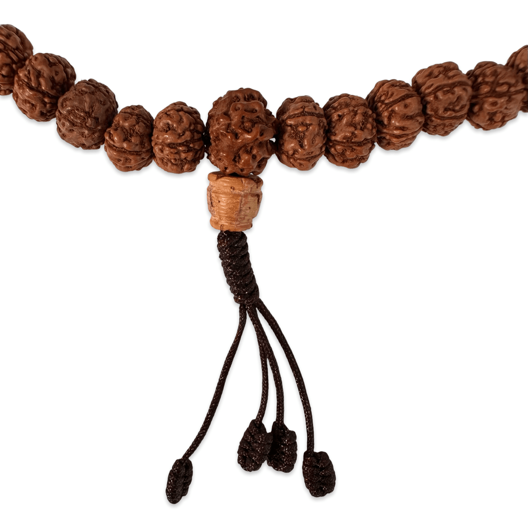 Rudraksha Mala «6 Mukhi» (⌀ 8 mm) - Atelier Tibet