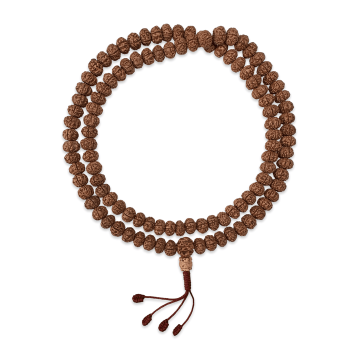 Rudraksha Mala «6 Mukhi» (⌀ 8 mm) - Atelier Tibet