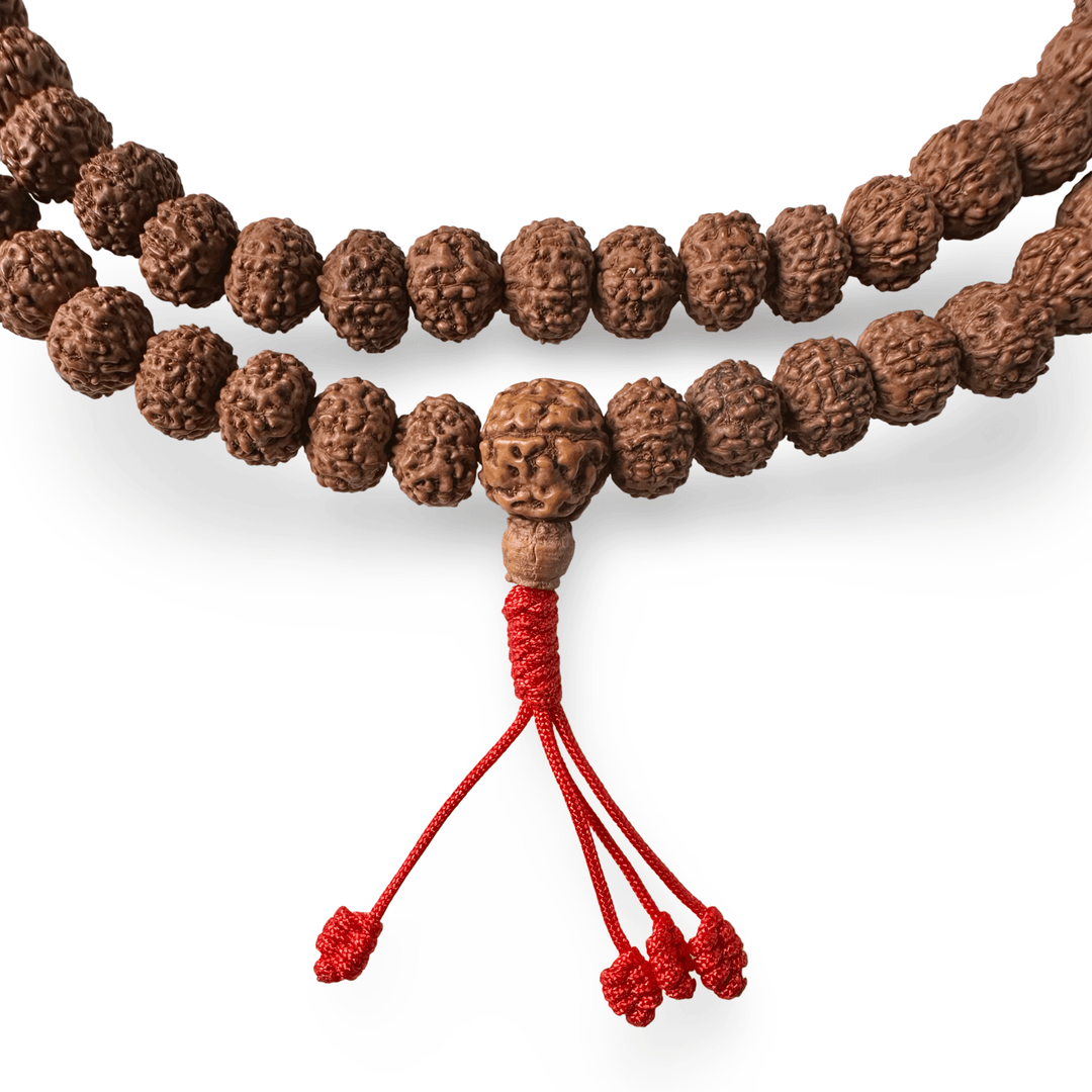 Rudraksha Mala «8 Mukhi» (⌀ 11 mm) - Atelier Tibet