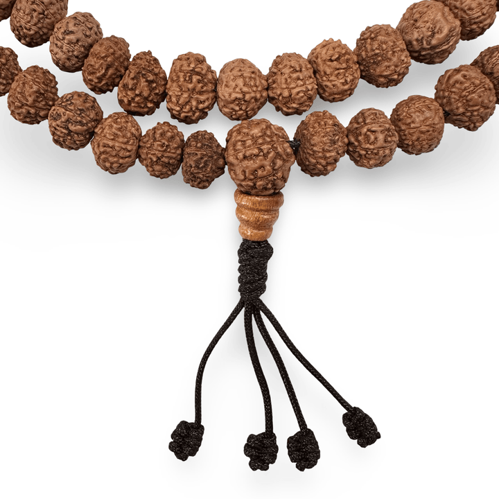 Rudraksha Mala «8 - Mukhi» (⌀ 8 - 11 mm) - Atelier Tibet