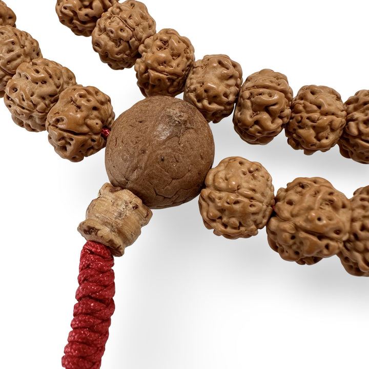 Rudraksha Mala (⌀ 9 mm) - Atelier Tibet