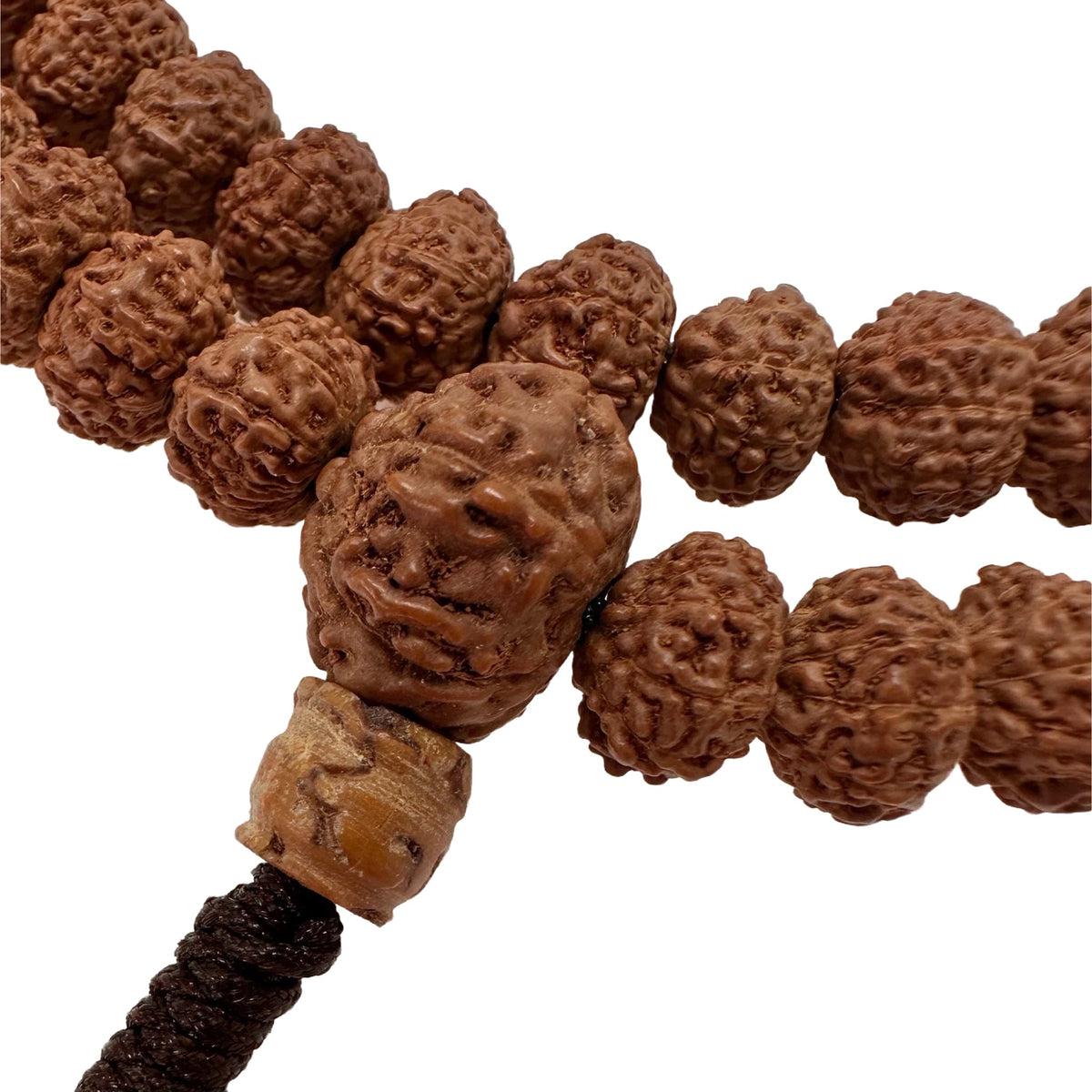 Rudraksha Mala (⌀ 9 mm) «9 Faces» - Atelier Tibet