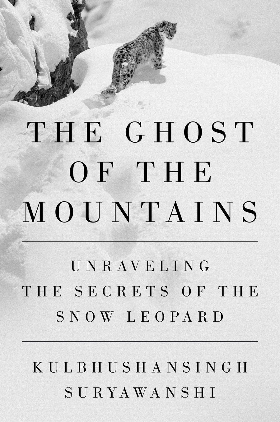 Suryawanshi, K.: The Ghost of the Mountains - Atelier Tibet