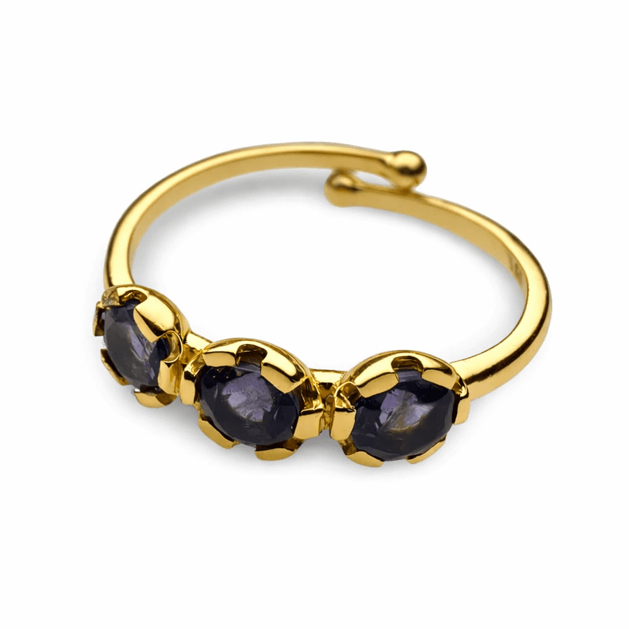 Verstellbarer vergoldeter Ring mit Iolith - Atelier Tibet