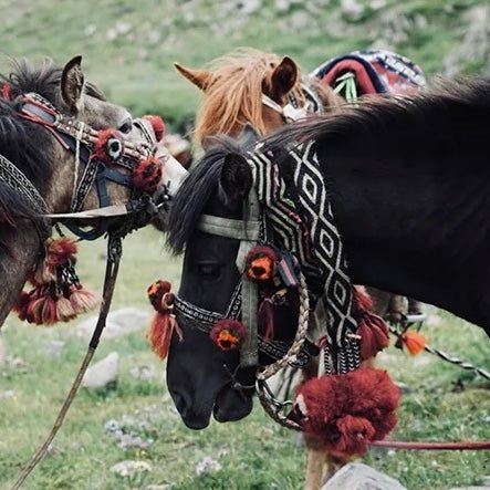 Wollarmband «Dzi», handgewebt in Tibet · CHARU × Tsoten - Atelier Tibet
